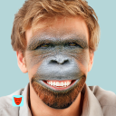 Baixar  Face Swap