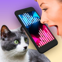Baixar  Gato Tradutor Humano Miado
