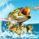 Baixar  Pesca de Bolso