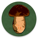 Baixar  Book of Mushrooms