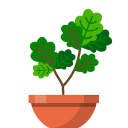 Baixar  Terrarium: Garden Idle