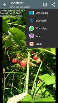 Baixar Undeleter Recuperação de Dados Ferramentas para Android captura de tela 4