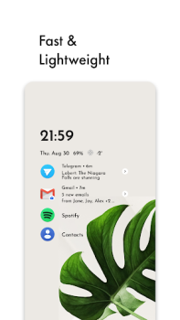 Baixar Niagara Launcher Ecrã inicial Personalização para Android captura de tela 2