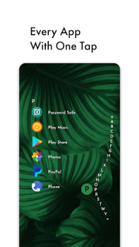 Baixar Niagara Launcher Ecrã inicial Personalização para Android captura de tela 3