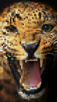 Baixar Ponto cruz: Cross Stitch Quebra-cabeças para Android captura de tela 7