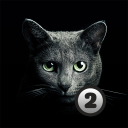 Baixar  Find a cat 2