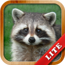 Baixar Animals for Kids