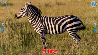 Baixar Animals for Kids Jogos de Aprendizagem para Android captura de tela 3