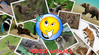 Baixar Animals for Kids Jogos de Aprendizagem para Android captura de tela 5