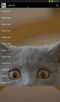 Baixar Cats sounds Música e áudio para Android captura de tela 4