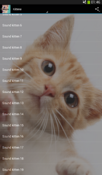 Baixar Cats sounds Música e áudio para Android captura de tela 5
