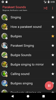 Baixar Appp.io - Sounds Parakeet Entretenimento para Android captura de tela 2
