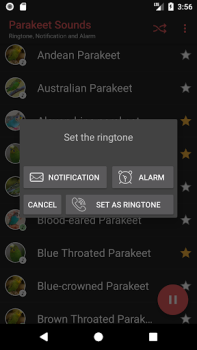 Baixar Appp.io - Sounds Parakeet Entretenimento para Android captura de tela 4