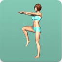 Baixar  Aerobics workout at home