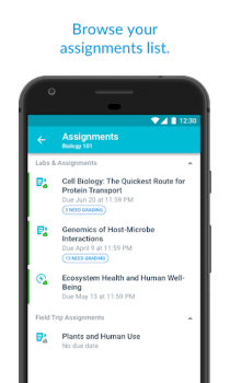 Baixar Canvas Teacher Educação para Android captura de tela 2