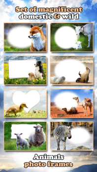 Baixar Molduras para Fotos com Animais 🐅🐈 Quadros Foto para Android captura de tela 6