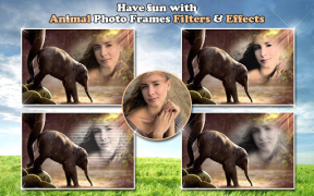 Baixar Molduras para Fotos com Animais 🐅🐈 Quadros Foto para Android captura de tela 7