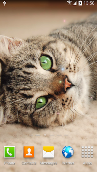 Baixar Cat Live Wallpaper Personalização para Android captura de tela 3