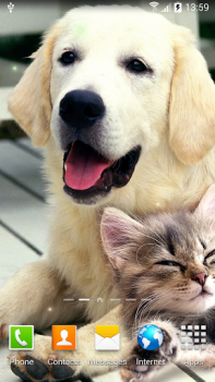 Baixar Cat Live Wallpaper Personalização para Android captura de tela 7