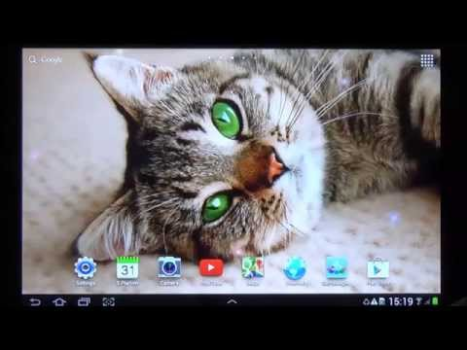 Baixar Cat Live Wallpaper Personalização para Android captura de tela 8
