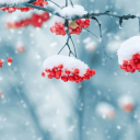 Baixar  Beautiful Winter Live Wallpape