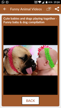 Baixar Vídeos engraçados de animais Entretenimento para Android captura de tela 3
