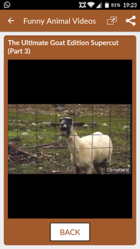 Baixar Vídeos engraçados de animais Entretenimento para Android captura de tela 6