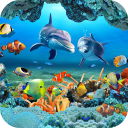 Baixar  Koi Fish Live Wallpaper 3D