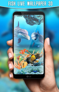 Koi Fish Live Wallpaper 3D
