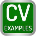 Baixar  CV Examples: PDF CV Templates