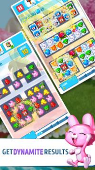 Puzzle Pets - Diversão Animal
