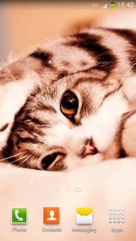 Baixar Papel De Parede Gatos Bonitos Personalização para Android captura de tela 3