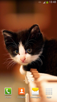 Baixar Papel De Parede Gatos Bonitos Personalização para Android captura de tela 4