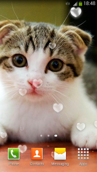 Baixar Papel De Parede Gatos Bonitos Personalização para Android captura de tela 5