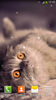 Baixar Papel De Parede Gatos Bonitos Personalização para Android captura de tela 6