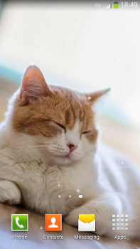 Baixar Papel De Parede Gatos Bonitos Personalização para Android captura de tela 7