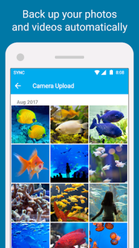 Baixar Sync - Secure cloud storage Emprego para Android captura de tela 3