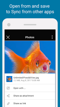 Baixar Sync - Secure cloud storage Emprego para Android captura de tela 4
