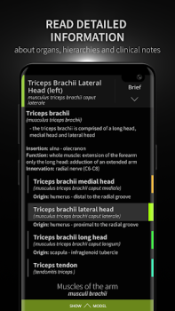Baixar Anatomyka - 3D Anatomy Atlas Medicamento para Android captura de tela 3