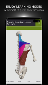Baixar Anatomyka - 3D Anatomy Atlas Medicamento para Android captura de tela 6