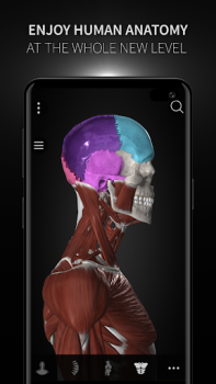 Baixar Anatomyka - 3D Anatomy Atlas Medicamento para Android captura de tela 7