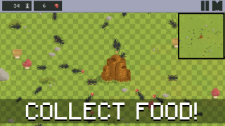 Baixar Ant Colony - Ants Simulator Simuladores para Android captura de tela 5