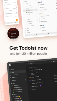 Baixar Todoist: Lista & Planner Emprego para Android captura de tela 7