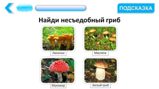 Baixar Подготовка к школе: полный кур Educação para Android captura de tela 3