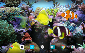 Baixar Coral Fish 3D Live Wallpaper Personalização para Android captura de tela 7