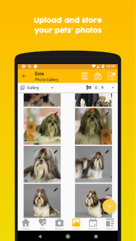 Baixar 11Pets: Cuidado animal Estilo de vida para Android captura de tela 5