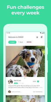 Baixar Dogo — Adestrar Cachorro Educação para Android captura de tela 5