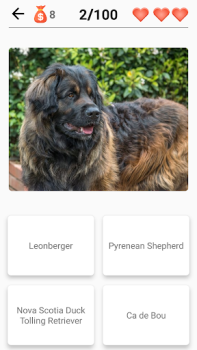 Baixar Cachorros - Quiz! Curiosidades para Android captura de tela 2