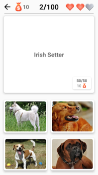 Baixar Cachorros - Quiz! Curiosidades para Android captura de tela 5