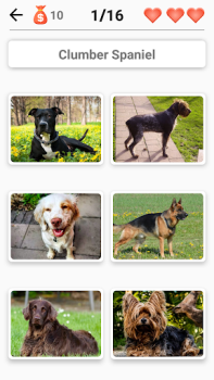 Baixar Cachorros - Quiz! Curiosidades para Android captura de tela 6